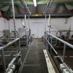 Doln&iacute; Třebon&iacute;n